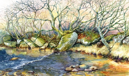 Stream in Winter: North Yorkshire Moors