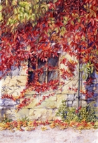 Virginia Creeper